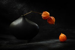  - Igor Kopcev