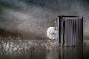  - Igor Kopcev