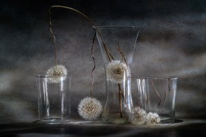  - Igor Kopcev