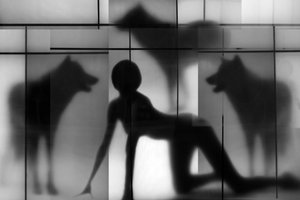 Les ombres de la femme et du loup - Igor Shrayer
