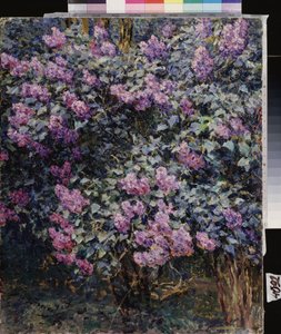 Lilas - Ilya Ostrouhov
