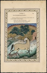 Le cheval et le loup, 1837-1839 - Imam Bakhsh Lahori