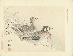 Couple de canards dans la neige (Esquisses de fleurs et d