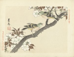 Deux oiseaux verts sur une branche en fleurs