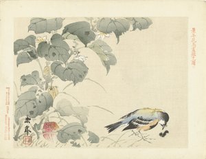 Oiseau près d