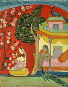 Une dame cueillant des fleurs, Rajasthan du Sud ou Deccan, c.1675 - Indian School