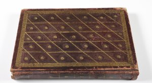 Album de généalogie dynastique moghole - Indian School