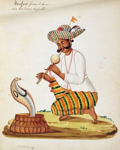 Un charmeur de serpents indien avec un cobra, d