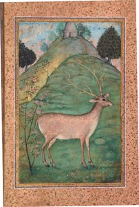 Cerf dans un paysage, c.1595 - Indian School