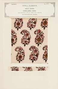 Échantillon de coton grossier imprimé de Masulipatam à Madras, de The Collection of the Textile Manufacturers of India, par John Forbes Watson, publié en 1866 - Indian School