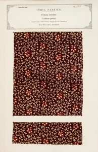 Échantillon de coton imprimé de Bellary à Madras, de The Collection of the Textile Manufacturers of India, par John Forbes Watson, publié en 1866 - Indian School