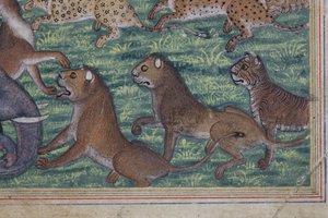 (détail) Le Chacal qui se proclama roi, c.1560-65 - Indian School