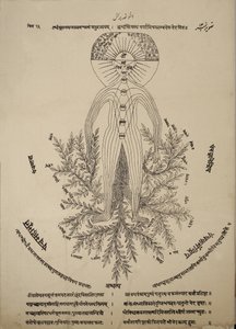 Diagramme montrant les points méridiens sur le corps humain - Indian School