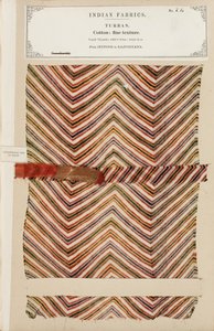 Échantillon de turban en coton fin de Jeypoor au Rajpootana, de The Collection of the Textile Manufacturers of India, par John Forbes Watson, publié en 1866 - Indian School