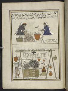 Poissonniers, femmes éviscérant des poissons ; homme séchant des poissons - Indian School
