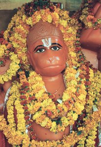 Hanuman, le dieu singe