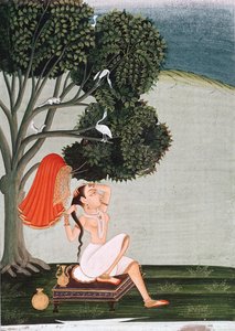 Dame indienne à sa toilette coiffant ses cheveux