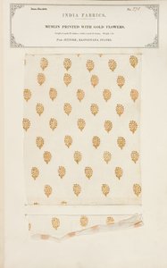 Échantillon de mousseline imprimée de fleurs dorées de Jeypore dans les États du Rajpootana, de The Collection of the Textile Manufacturers of India, par John Forbes Watson, publié en 1866 - Indian School
