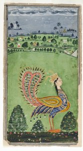Paon mythique avec une tête de femme, Hyderabad, vers 1750 - Indian School
