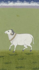 Bélier avec collier doré, 1700-1799 - Indian School
