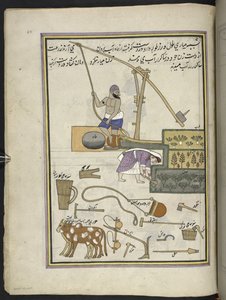 Cultivateurs de légumes avec puits - Indian School