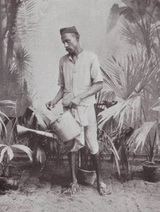 Bombay / Mumbai : Jardinier (photo n/b) - Indian photographer