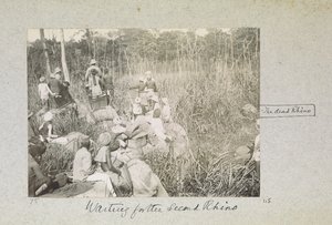En attendant le deuxième rhinocéros, 