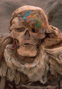 Un squelette récemment déterré portant une coiffe de plumes, signe de haut statut, 2001