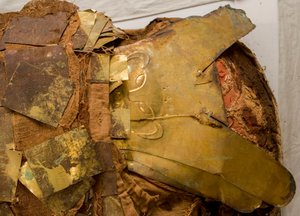 Après avoir retiré certaines des feuilles d