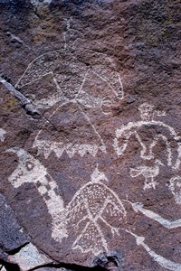 Gravures rupestres Anasazi trouvées au Nouveau-Mexique