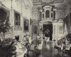 Salon, Carton House, Co. Kildare - Irish Photographer