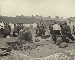 Le marché de la pomme de terre, Drogheda