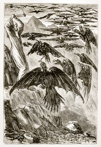 Saint Patrick et les oiseaux démons, de The Trias Thaumaturga, ou Trois Saints Thaumaturges d