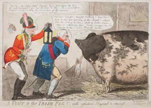 Une visite au cochon irlandais !! Avec réflexions physiques et morales