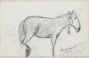 Cheval - Isaac Gosschalk