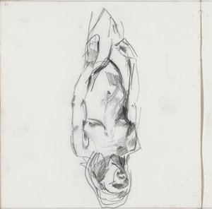 Femme nue debout