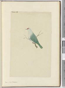 F.12 Colombe. Nouvelle-Calédonie, 1772-75