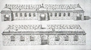 Allées arcades topiaires de 