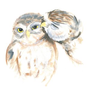 Hiboux affectueux