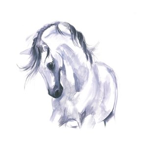 Étude de cheval en mouvement