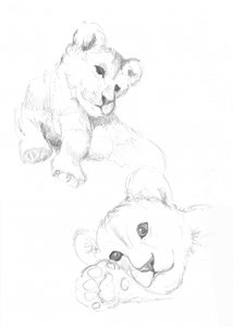 Lionceaux