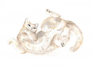 Chat joueur