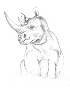 Rhinocéros