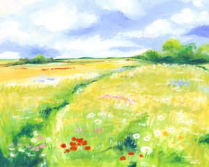 Prairie de fleurs sauvages