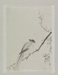 Oiseau sur une branche de cerisier - Ishikawa Kazan