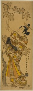 Jeune femme lisant un tanzaku attaché à un cerisier