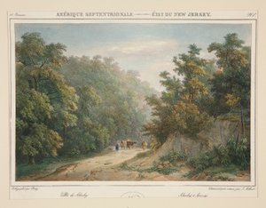 Amérique Septentrionale - État du New Jersey. N. 49, pl. 1