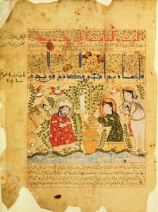 Ms. Arabe 2964 fol.5 Scène du Traité de Thériaque d