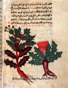 Page d