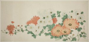 Chrysanthèmes - Isoda Koryusai
